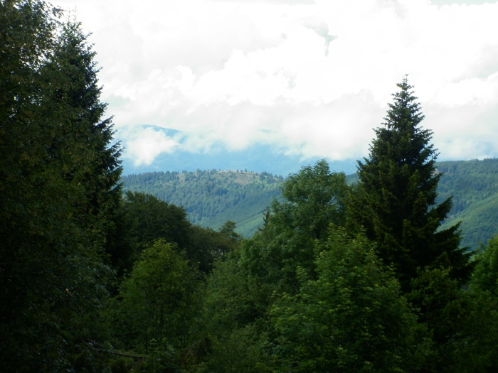 P1000997