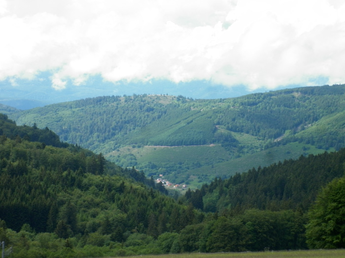 P1010002