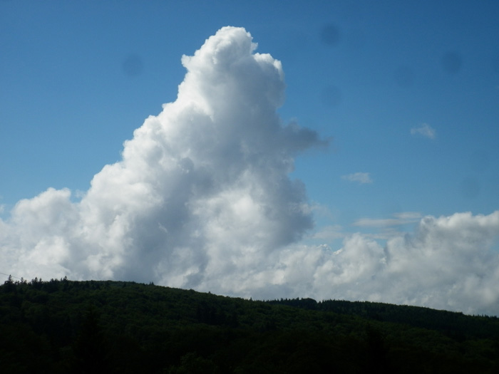 P1010004