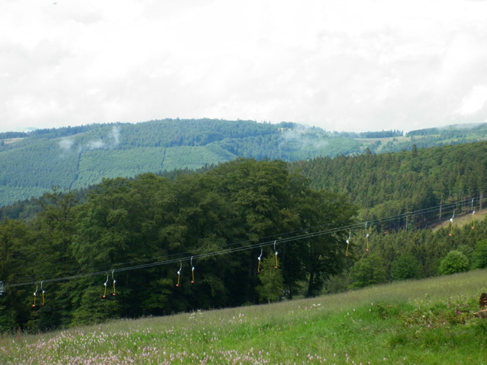 P1010011