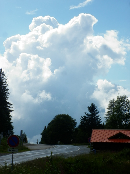 P1010020