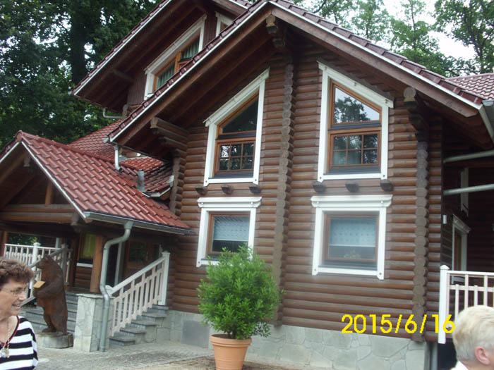 DSCI0356