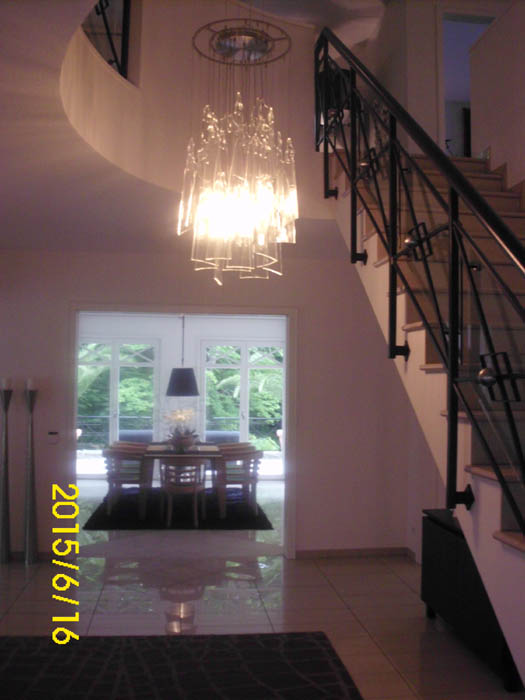 DSCI0366