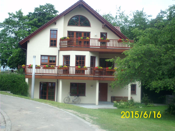 DSCI0377