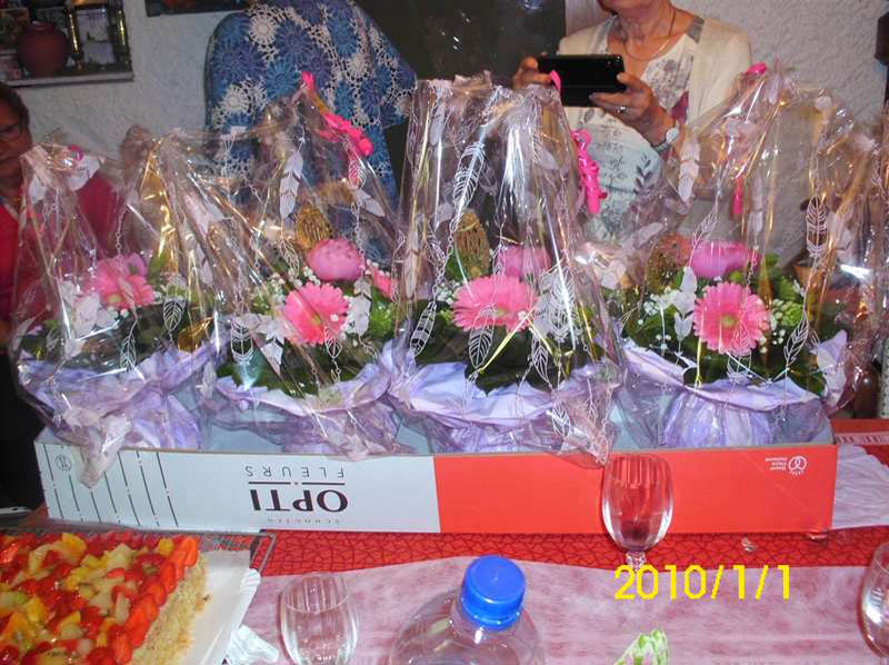DSCI0162