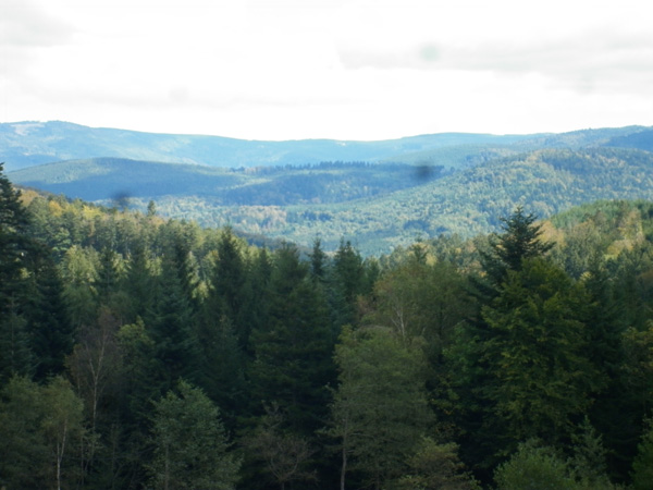 P1000900