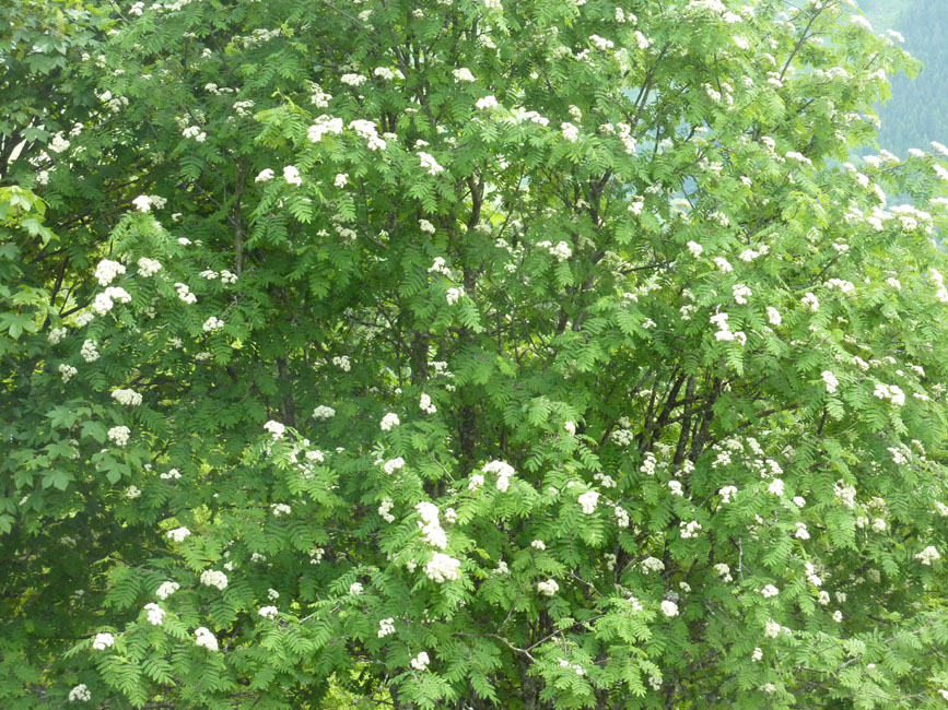 P1090704